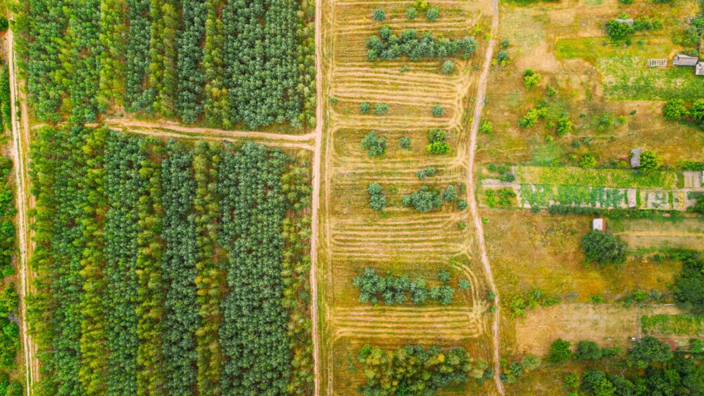zonas de manejo en agricultura